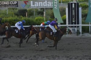 ΙΠΠΟΔΡΟΜΟΣ ΚΥΠΡΟΣ / IPPODROMOS KYPROS ΨΗΛΟΣ - 08/04/2026