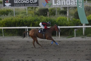 ΙΠΠΟΔΡΟΜΟΣ ΚΥΠΡΟΣ / IPPODROMOS KYPROS - ΚΡΕΙΖΥ ΣΟΥΣΟΥ - 13/04/2026