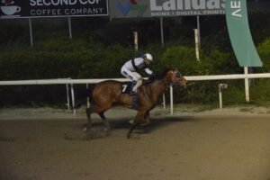 ΙΠΠΟΔΡΟΜΟΣ ΚΥΠΡΟΣ / IPPODROMOS KYPROS ΕΝΙΣΑ - 08/04/2026