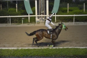 ΙΠΠΟΔΡΟΜΟΣ ΚΥΠΡΟΣ / IPPODROMOS KYPROS ΕΡΩΤΟΚΡΙΤΟΣ - 01/04/2026