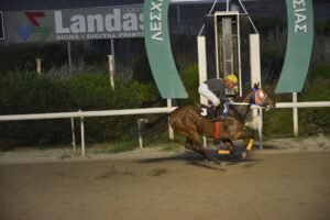 ΙΠΠΟΔΡΟΜΟΣ ΚΥΠΡΟΣ / IPPODROMOS KYPROS