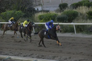 ΙΠΠΟΔΡΟΜΟΣ ΚΥΠΡΟΣ / IPPODROMOS KYPROS ΠΑΝΑΟΥΙ - 29/04/2026