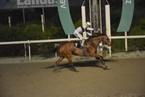 ΙΠΠΟΔΡΟΜΟΣ ΚΥΠΡΟΣ / IPPODROMOS KYPROS ΕΝΙΣΑ - 08/04/2026