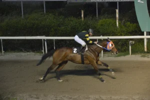 ΙΠΠΟΔΡΟΜΟΣ ΚΥΠΡΟΣ / IPPODROMOS KYPROS - ΔΙΕΥΘΥΝΤΗΣ - 13/04/2026