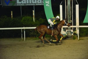 ΙΠΠΟΔΡΟΜΟΣ ΚΥΠΡΟΣ / IPPODROMOS KYPROS  ΓΚΟΛΤΕΝ ΤΖΩΝ - 05/04/2026