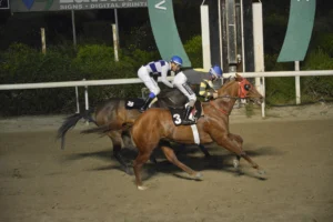 ΙΠΠΟΔΡΟΜΟΣ ΚΥΠΡΟΣ / IPPODROMOS KYPROS ΜΙΚΡΟΣ ΚΥΡΙΑΚΟΣ - 01/04/2026