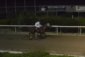 ΙΠΠΟΔΡΟΜΟΣ ΚΥΠΡΟΣ / IPPODROMOS KYPROS