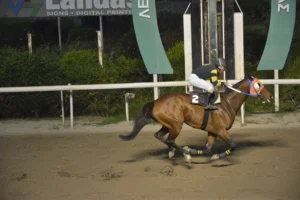 ΙΠΠΟΔΡΟΜΟΣ ΚΥΠΡΟΣ / IPPODROMOS KYPROS - ΔΙΕΥΘΥΝΤΗΣ - 13/04/2026