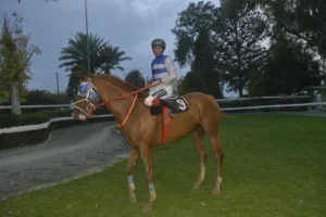 ΙΠΠΟΔΡΟΜΟΣ ΚΥΠΡΟΣ / IPPODROMOS KYPROS ΣΕΡ ΑΙΚ - 19/04/2026