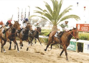 ΙΠΠΟΔΡΟΜΟΣ ΚΥΠΡΟΣ / IPPODROMOS KYPROS