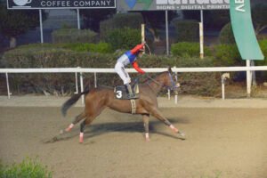 ΙΠΠΟΔΡΟΜΟΣ ΚΥΠΡΟΣ / IPPODROMOS KYPROS