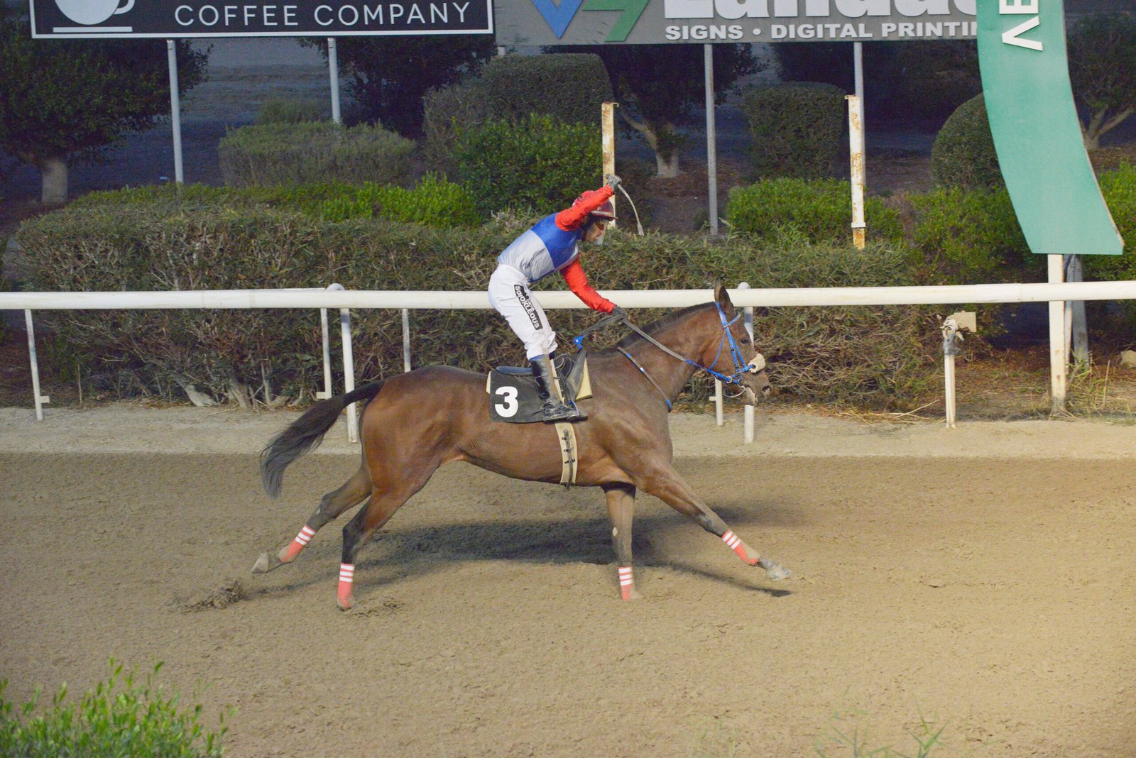 ΙΠΠΟΔΡΟΜΟΣ ΚΥΠΡΟΣ / IPPODROMOS KYPROS