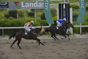 ΙΠΠΟΔΡΟΜΟΣ ΚΥΠΡΟΣ / IPPODROMOS KYPROS