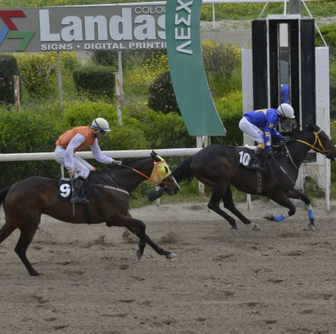 ΙΠΠΟΔΡΟΜΟΣ ΚΥΠΡΟΣ / IPPODROMOS KYPROS