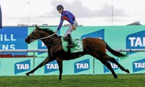 ΙΠΠΟΔΡΟΜΟΣ ΚΥΠΡΟΣ / IPPODROMOS KYPROS