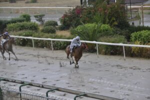 ΙΠΠΟΔΡΟΜΟΣ ΚΥΠΡΟΣ / IPPODROMOS KYPROS ΟΝΟΥΦΡΙΟΣ - 23/05/2026
