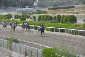 ΙΠΠΟΔΡΟΜΟΣ ΚΥΠΡΟΣ / IPPODROMOS KYPROS ΠΕΡΙΠΤΕΡΑΣ ΑΘΩΣ 13/05/2026
