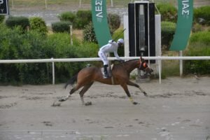 ΙΠΠΟΔΡΟΜΟΣ ΚΥΠΡΟΣ / IPPODROMOS KYPROS ΟΝΟΥΦΡΙΟΣ - 23/05/2026
