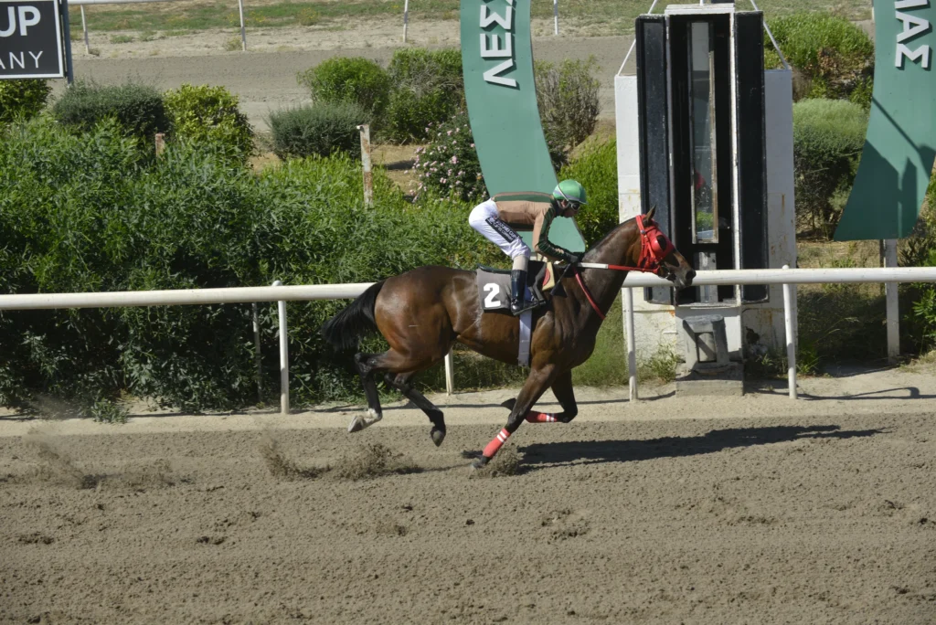 ΙΠΠΟΔΡΟΜΟΣ ΚΥΠΡΟΣ / IPPODROMOS KYPROS ΒΕΝΤΟΥΡΑ - 29/05/2026