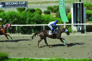 ΙΠΠΟΔΡΟΜΟΣ ΚΥΠΡΟΣ / IPPODROMOS KYPROS ΜΠΕΛ ΑΜΙ - 20/05/2026
