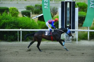 ΙΠΠΟΔΡΟΜΟΣ ΚΥΠΡΟΣ / IPPODROMOS KYPROS ΦΟΙΝΙΚΑΣ - 06/05/2026