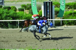 ΙΠΠΟΔΡΟΜΟΣ ΚΥΠΡΟΣ / IPPODROMOS KYPROS ΜΙΣ ΝΤΟΥΚΑΛ - 20/05/2026