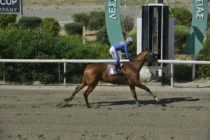 ΙΠΠΟΔΡΟΜΟΣ ΚΥΠΡΟΣ / IPPODROMOS KYPROS ΟΔΥΣΣΕΑΣ - 10/05/2026