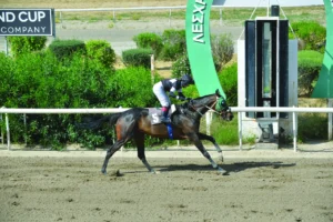 ΙΠΠΟΔΡΟΜΟΣ ΚΥΠΡΟΣ / IPPODROMOS KYPROS ΑΝΣΤΟΠΑΠΟΛ - 17/05/2026