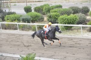 ΙΠΠΟΔΡΟΜΟΣ ΚΥΠΡΟΣ / IPPODROMOS KYPROS ΚΙΓΚ ΒΑΚΛΑΣ 13/05/2026