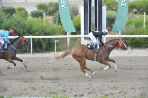 ΙΠΠΟΔΡΟΜΟΣ ΚΥΠΡΟΣ / IPPODROMOS KYPROS ΜΑΛΑΓΑΝΑΣ - 27/05/2026