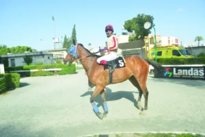 ΙΠΠΟΔΡΟΜΟΣ ΚΥΠΡΟΣ / IPPODROMOS KYPROS ΑΡΓΟΣΤΟΛΙ - 20/05/2026