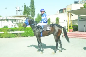 ΙΠΠΟΔΡΟΜΟΣ ΚΥΠΡΟΣ / IPPODROMOS KYPROS ΑΡΙΣΤΟΚΡΑΤΗΣ - 17/05/2026