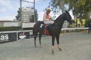 ΙΠΠΟΔΡΟΜΟΣ ΚΥΠΡΟΣ / IPPODROMOS KYPROS ΚΙΓΚ ΒΑΚΛΑΣ 13/05/2026