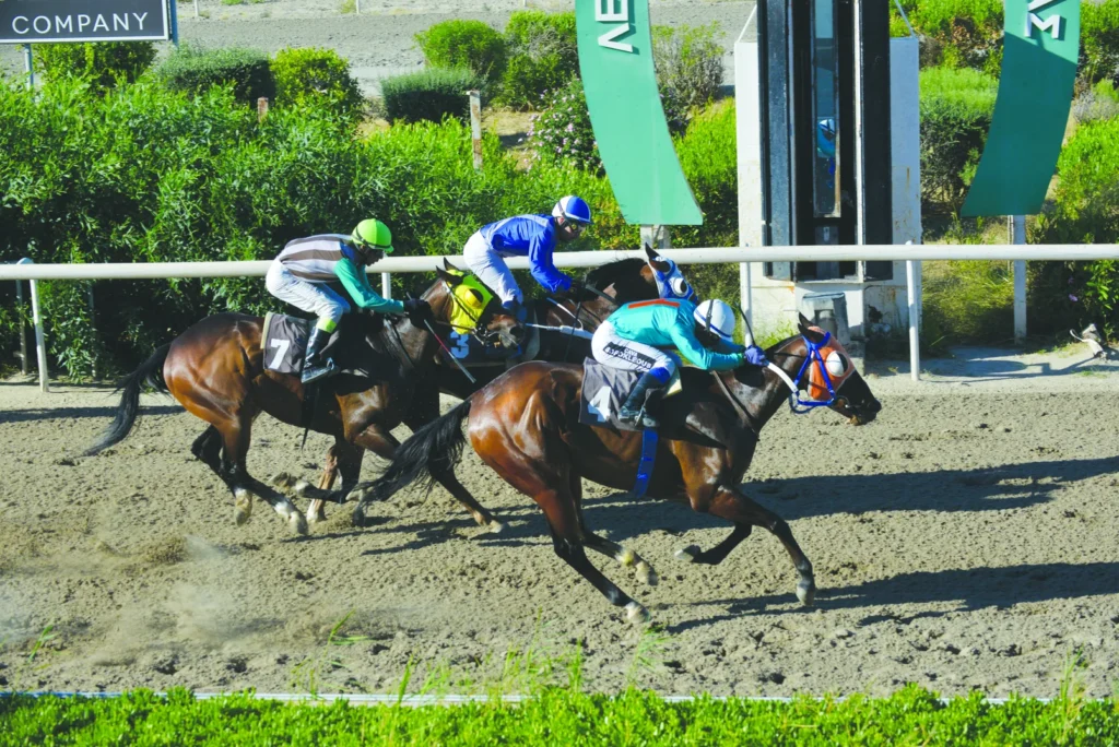 ΙΠΠΟΔΡΟΜΟΣ ΚΥΠΡΟΣ / IPPODROMOS KYPROS ΧΑΒΑΗΣ - 29/05/2026