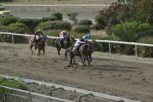 ΙΠΠΟΔΡΟΜΟΣ ΚΥΠΡΟΣ / IPPODROMOS KYPROS ΚΥΠΡΙΑΝΟΣ 13/05/2026
