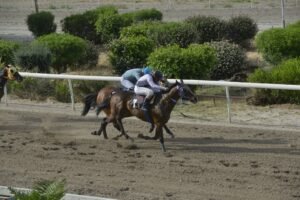 ΙΠΠΟΔΡΟΜΟΣ ΚΥΠΡΟΣ / IPPODROMOS KYPROS ΚΥΠΡΙΑΝΟΣ 13/05/2026