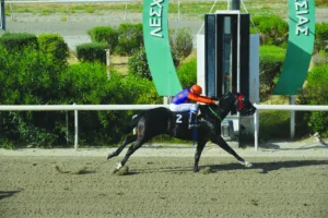 ΙΠΠΟΔΡΟΜΟΣ ΚΥΠΡΟΣ / IPPODROMOS KYPROS ΛΑΡΤΖ - 17/05/2026