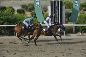 ΙΠΠΟΔΡΟΜΟΣ ΚΥΠΡΟΣ / IPPODROMOS KYPROS ΚΥΠΡΙΑΝΟΣ 13/05/2026