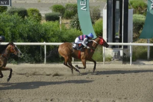 ΙΠΠΟΔΡΟΜΟΣ ΚΥΠΡΟΣ / IPPODROMOS KYPROS ΤΑΡΑΣ ΡΟΥΤ - 27/05/2026