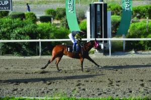 ΙΠΠΟΔΡΟΜΟΣ ΚΥΠΡΟΣ / IPPODROMOS KYPROS ΧΑΛΙΜΠΑΛΑΚ - 20/05/2026