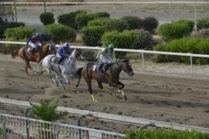 ΙΠΠΟΔΡΟΜΟΣ ΚΥΠΡΟΣ / IPPODROMOS KYPROS ΜΑΤΕΟ  13/05/2026