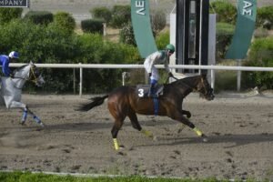 ΙΠΠΟΔΡΟΜΟΣ ΚΥΠΡΟΣ / IPPODROMOS KYPROS ΜΑΤΕΟ  13/05/2026