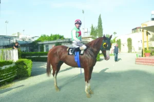 ΙΠΠΟΔΡΟΜΟΣ ΚΥΠΡΟΣ / IPPODROMOS KYPROS ΡΟΔΟΥΛΑ - 17/05/2026