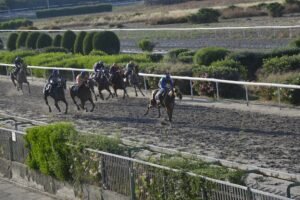 ΙΠΠΟΔΡΟΜΟΣ ΚΥΠΡΟΣ / IPPODROMOS KYPROS ΠΟΠ ΛΑΗΦ - 23/05/2026