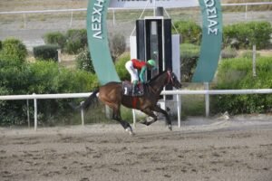 ΙΠΠΟΔΡΟΜΟΣ ΚΥΠΡΟΣ / IPPODROMOS KYPROS ΣΑΝΤΗΣ ΛΕΓΚΑΣΙ  13/05/2026