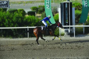 ΙΠΠΟΔΡΟΜΟΣ ΚΥΠΡΟΣ / IPPODROMOS KYPROS ΜΑΡΙΣΤΕΛΛΑ - 17/05/2026