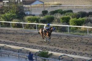 ΙΠΠΟΔΡΟΜΟΣ ΚΥΠΡΟΣ / IPPODROMOS KYPROS ΕΥΠΑΤΡΙΔΗΣ - 01/05/2026