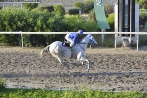 ΙΠΠΟΔΡΟΜΟΣ ΚΥΠΡΟΣ / IPPODROMOS KYPROS ΡΟΜΠΙΝ ΣΤΟΟΥΝ - 23/05/2026