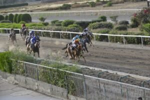 ΙΠΠΟΔΡΟΜΟΣ ΚΥΠΡΟΣ / IPPODROMOS KYPROS ΘΕΟΦΙΛΟΣ 13/05/2026