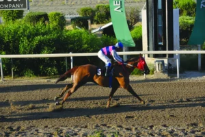 ΙΠΠΟΔΡΟΜΟΣ ΚΥΠΡΟΣ / IPPODROMOS KYPROS ΤΣΙΗΦ ΟΦ ΤΑΡΑ - 06/05/2026